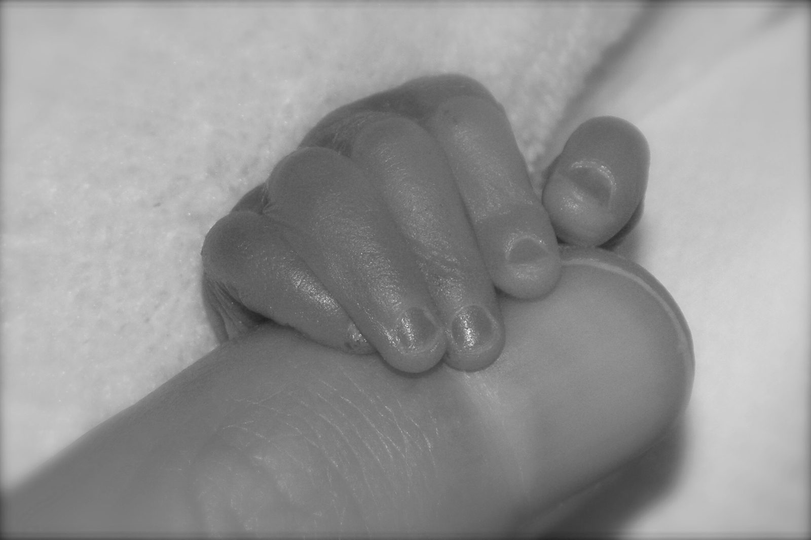 Una piccola mano che stringe un braccio, in bianco e nero